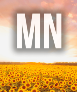 Minnesota